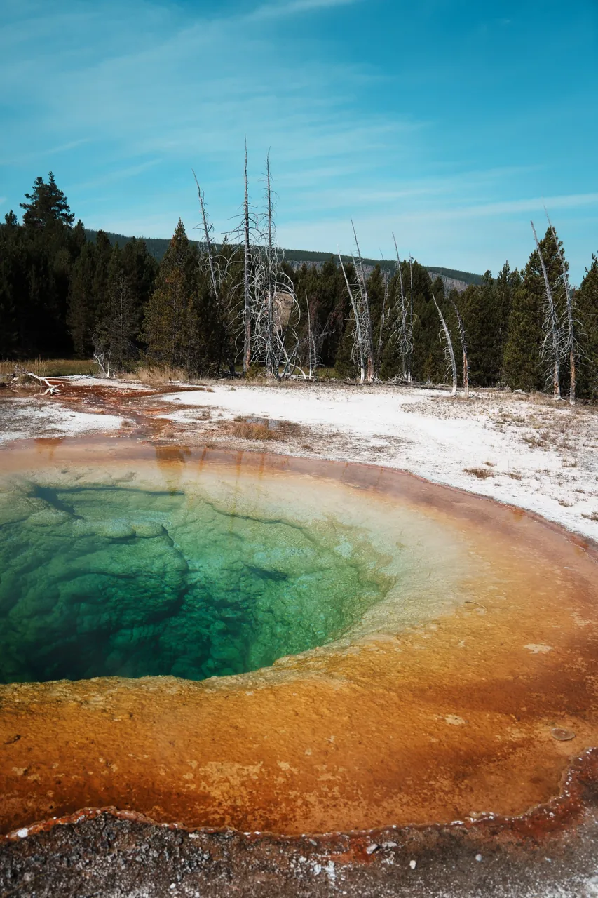 Yellowstone